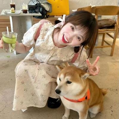战地微光